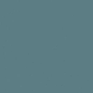 Meet your Posher, Gracie